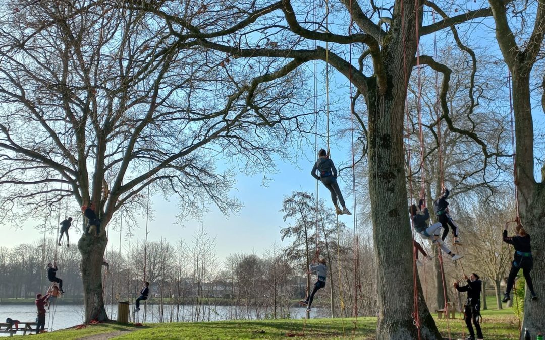 Activité grimpe d’arbre