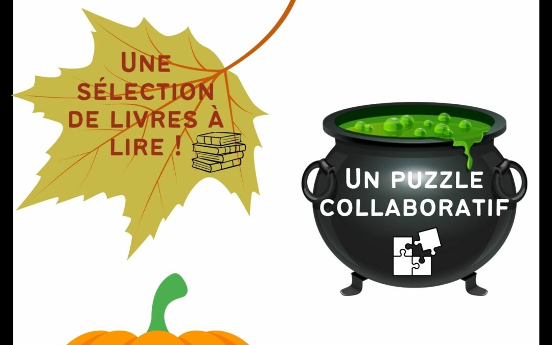 Animation au CDI. Octobre 2024